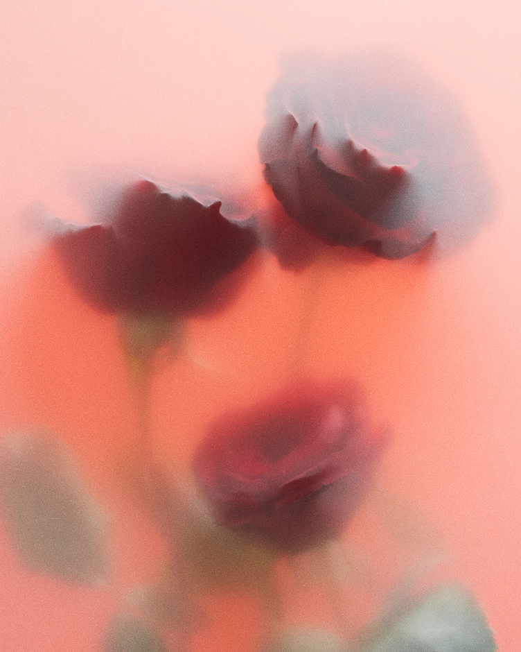 The Rose, Reimagined