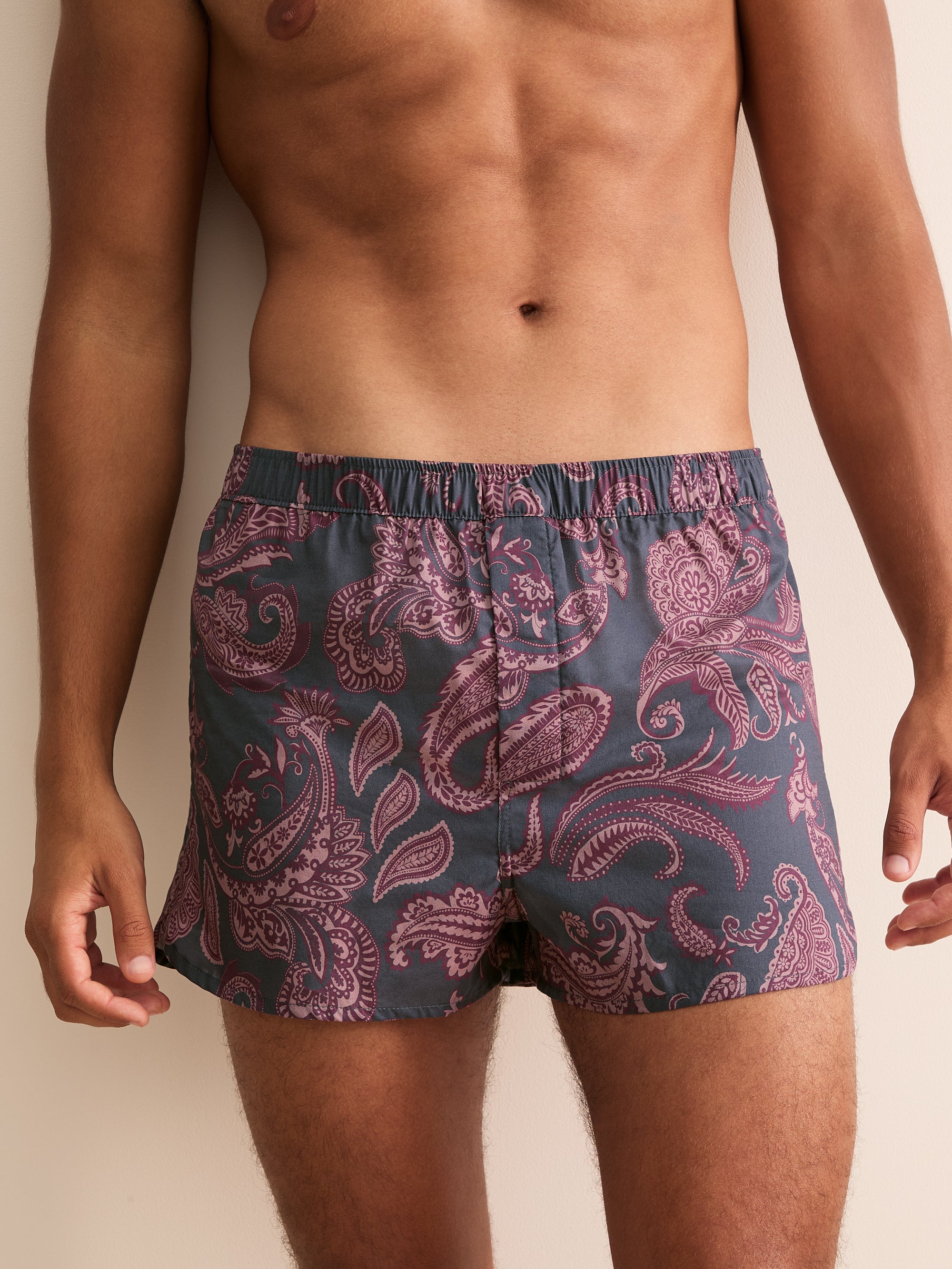 Ledbury Cotton Batiste Modern Fit Boxers Night Gray & Wine Paisley
