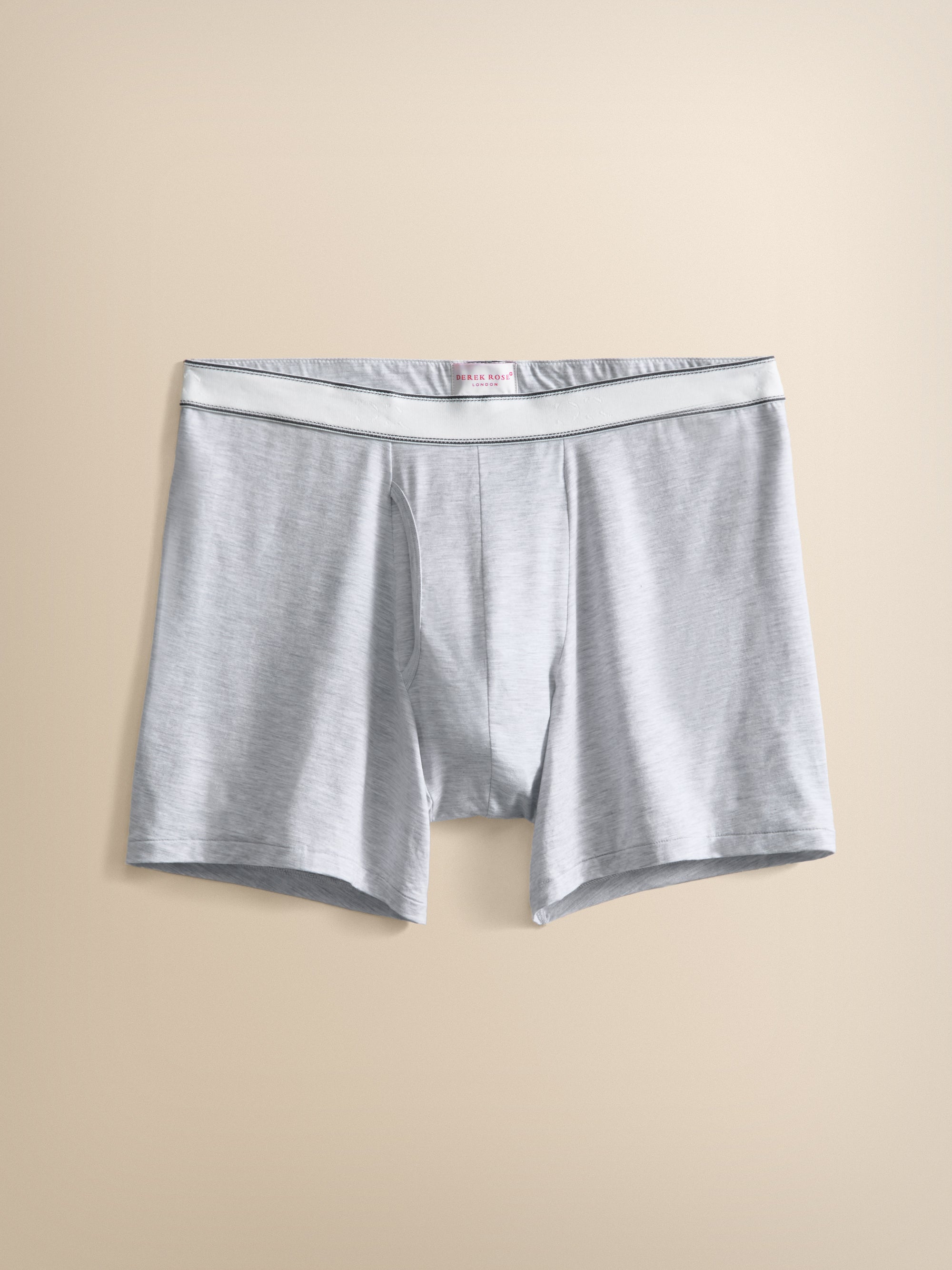 Ethan Micro Modal Trunks Silver Marl