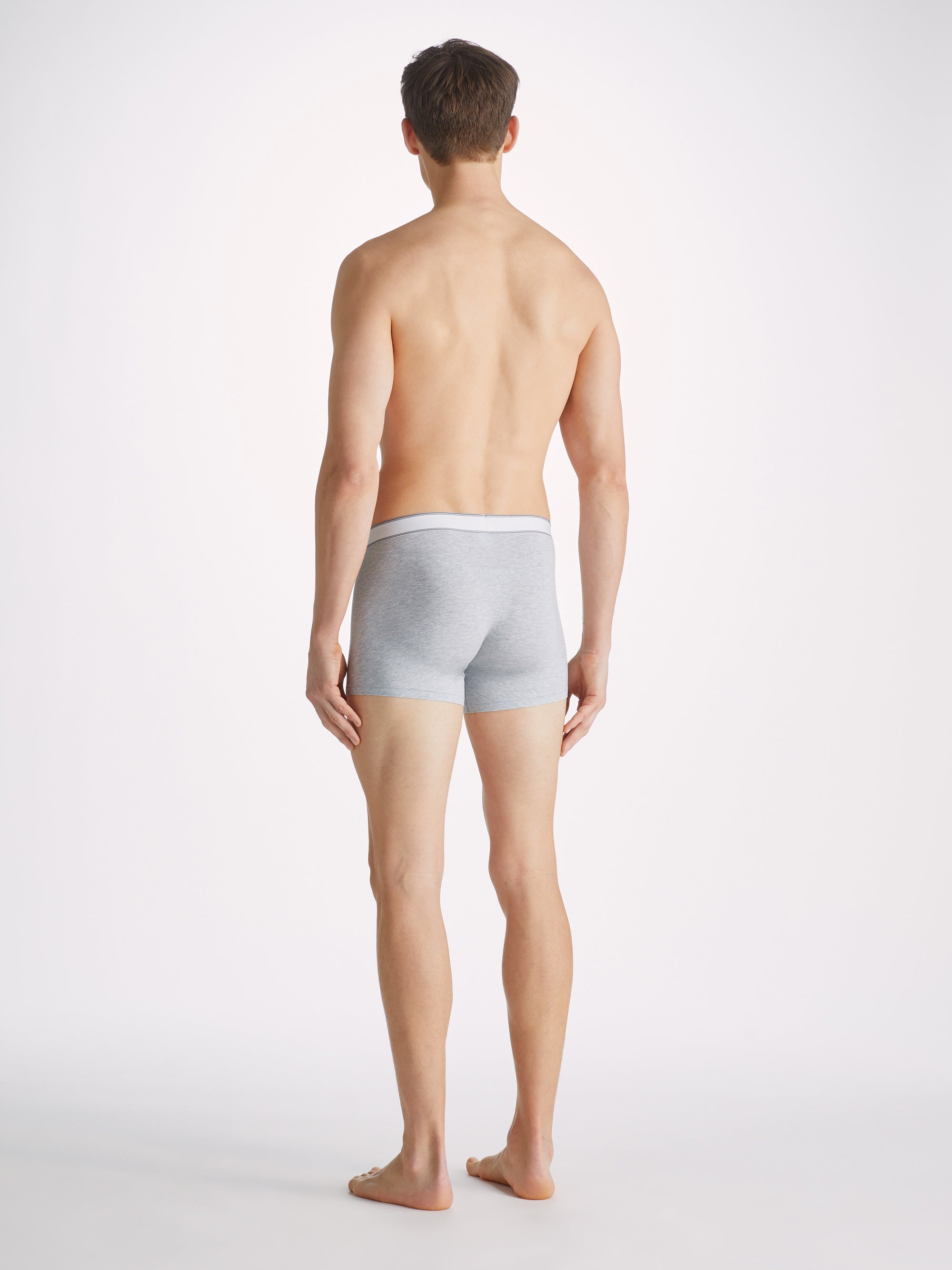 Men's Boxer Briefs Ethan Micro Modal Stretch Silver