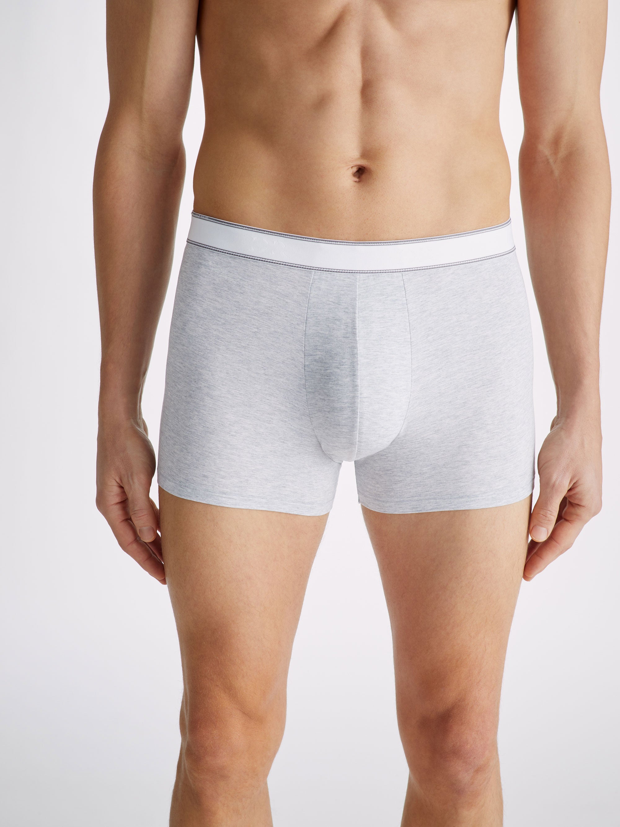 Men's Boxer Briefs Ethan Micro Modal Stretch Silver