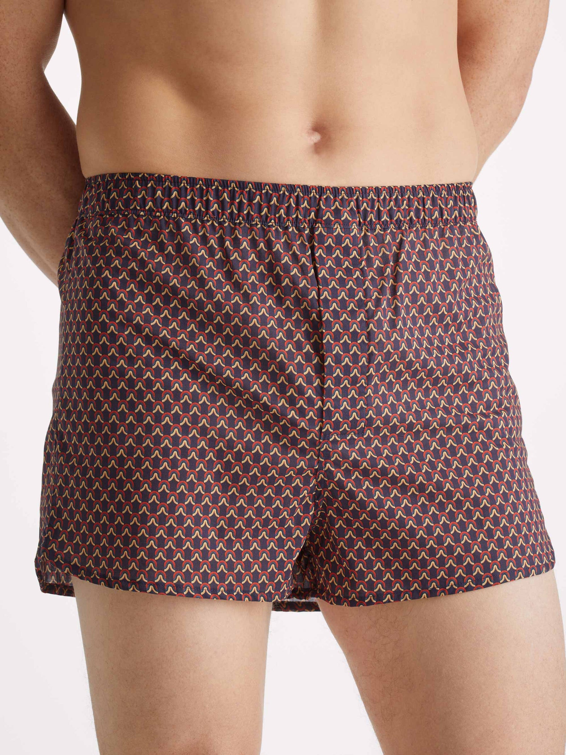 Men's Modern Fit Boxers Ledbury 65 Cotton Batiste Multi