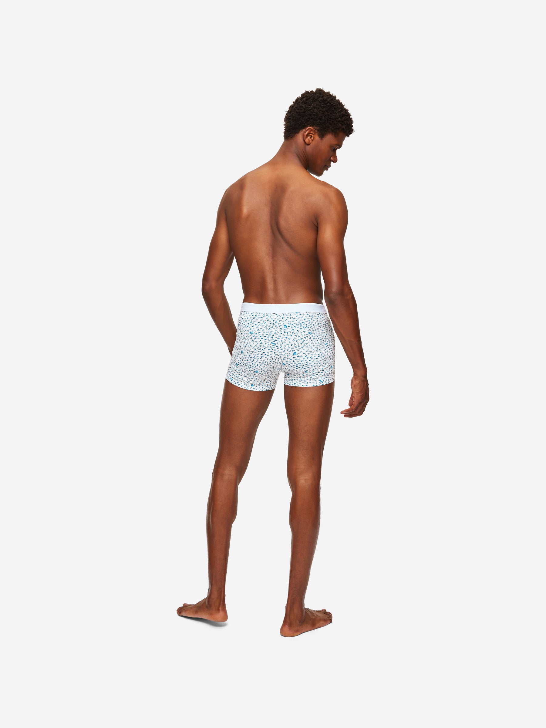 Men's Boxer Briefs Birds Pima Cotton Stretch White