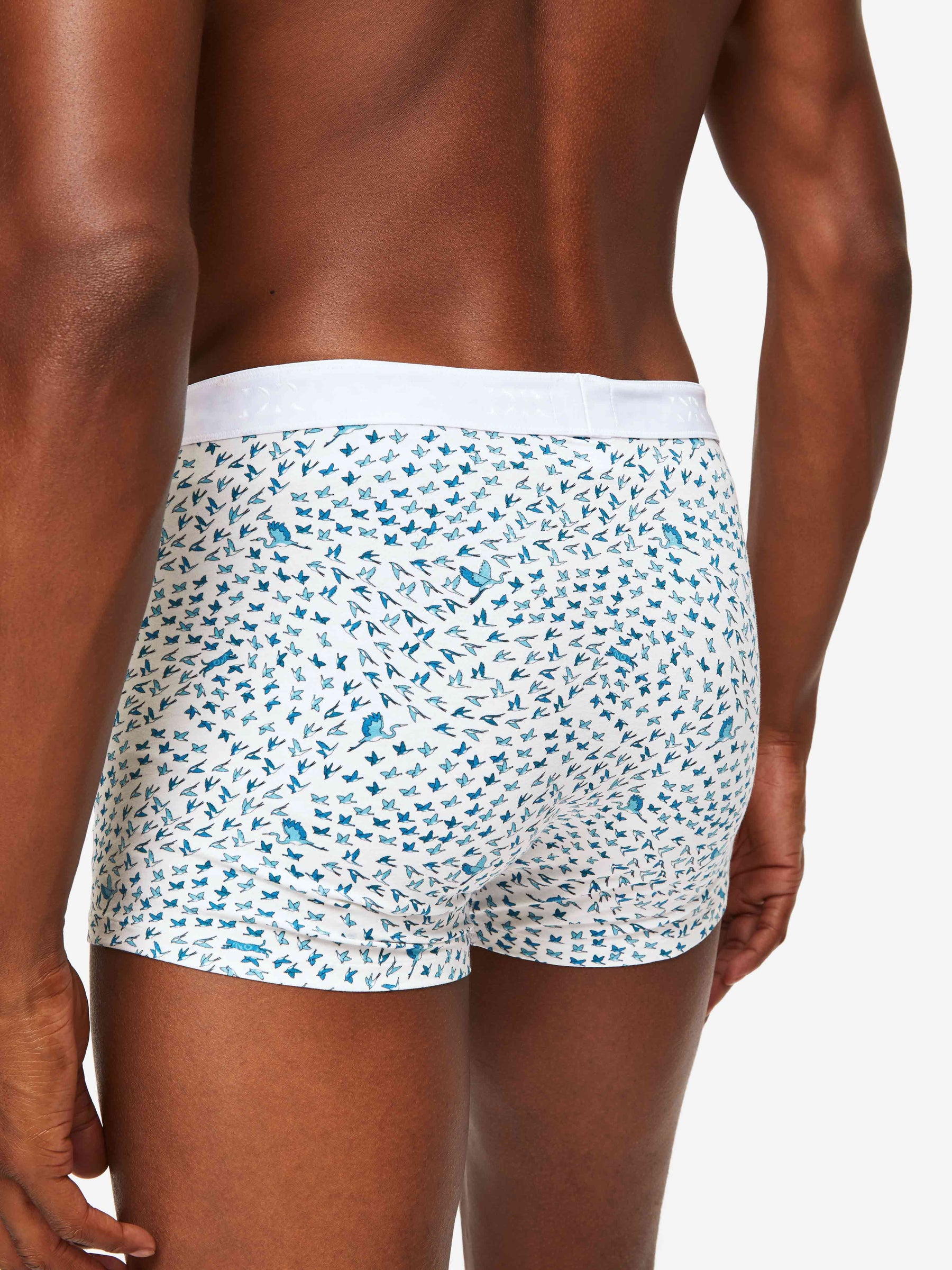 Men's Boxer Briefs Birds Pima Cotton Stretch White