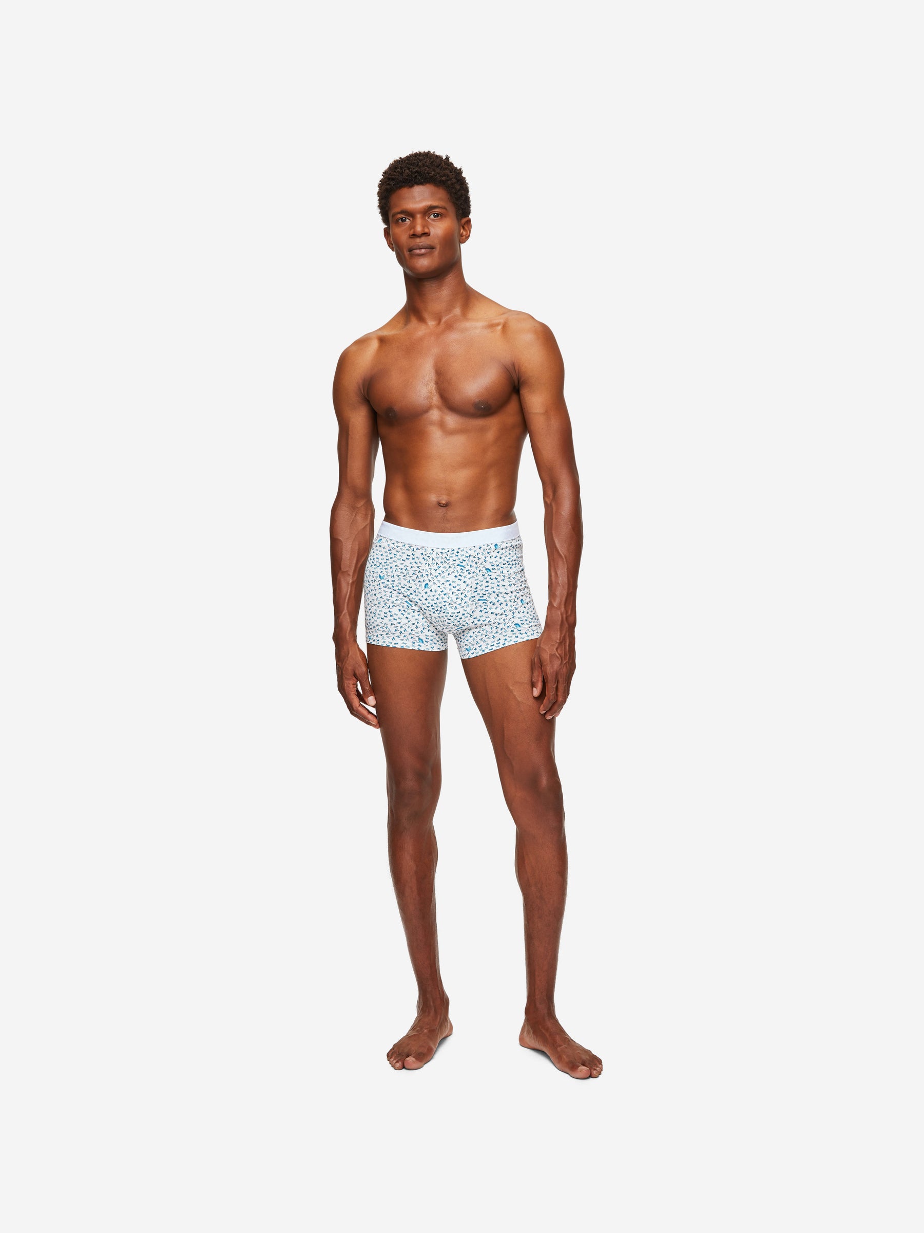 Men's Boxer Briefs Birds Pima Cotton Stretch White