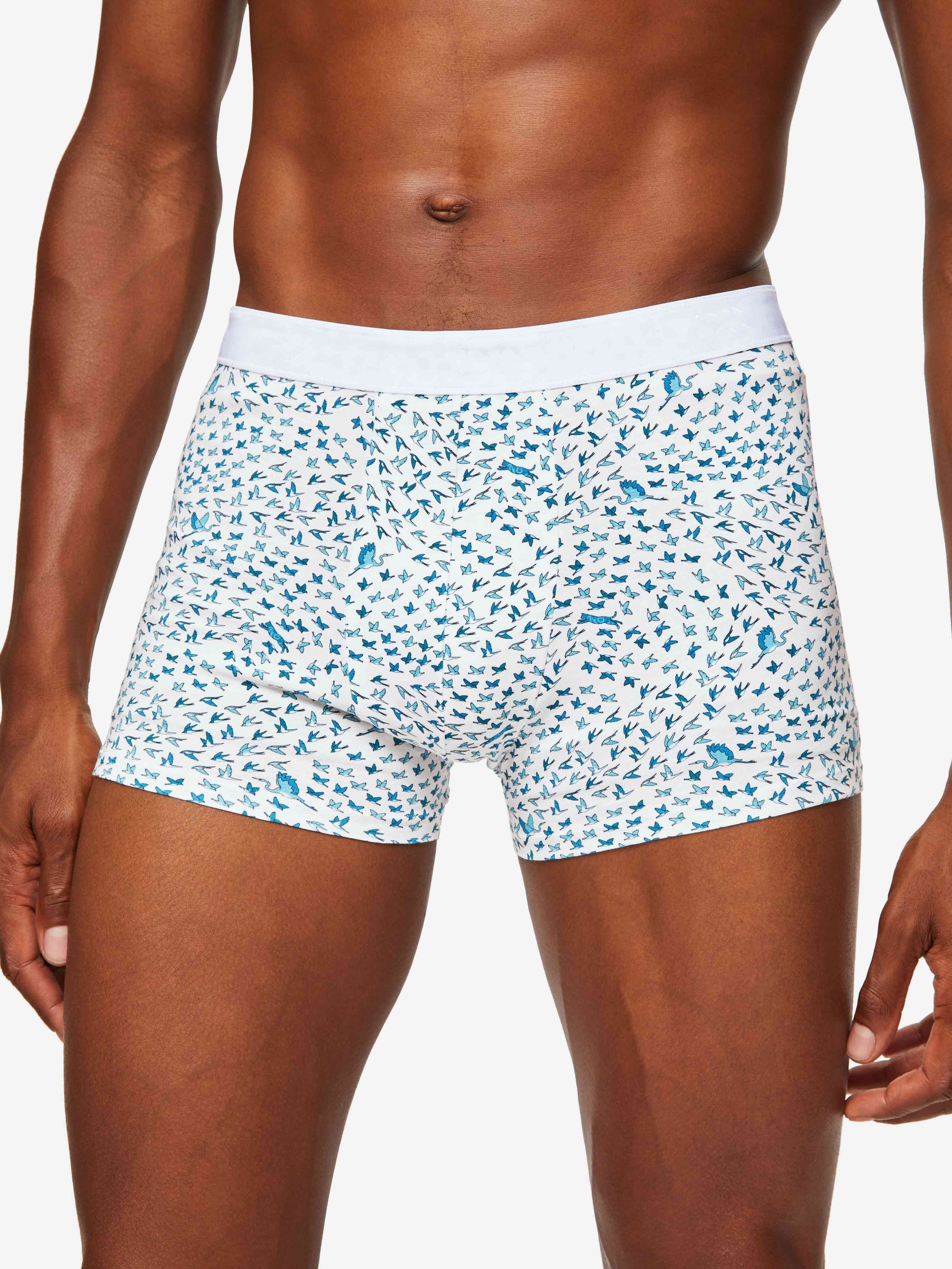 Men's Boxer Briefs Birds Pima Cotton Stretch White