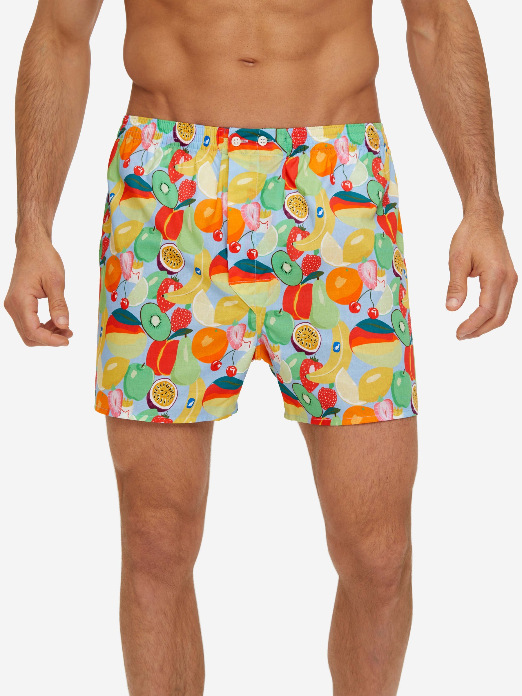 Men's Classic Fit Boxers Ledbury 49 Cotton Batiste Multi