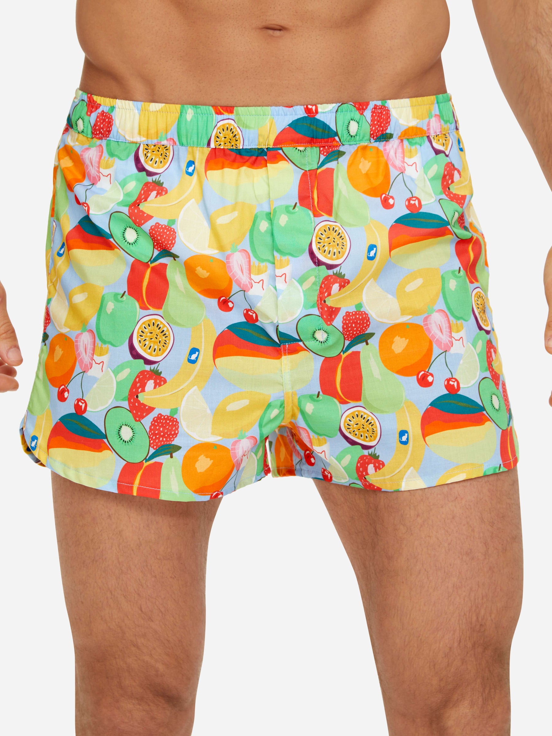 Men's Modern Fit Boxers Ledbury 49 Cotton Batiste Multi