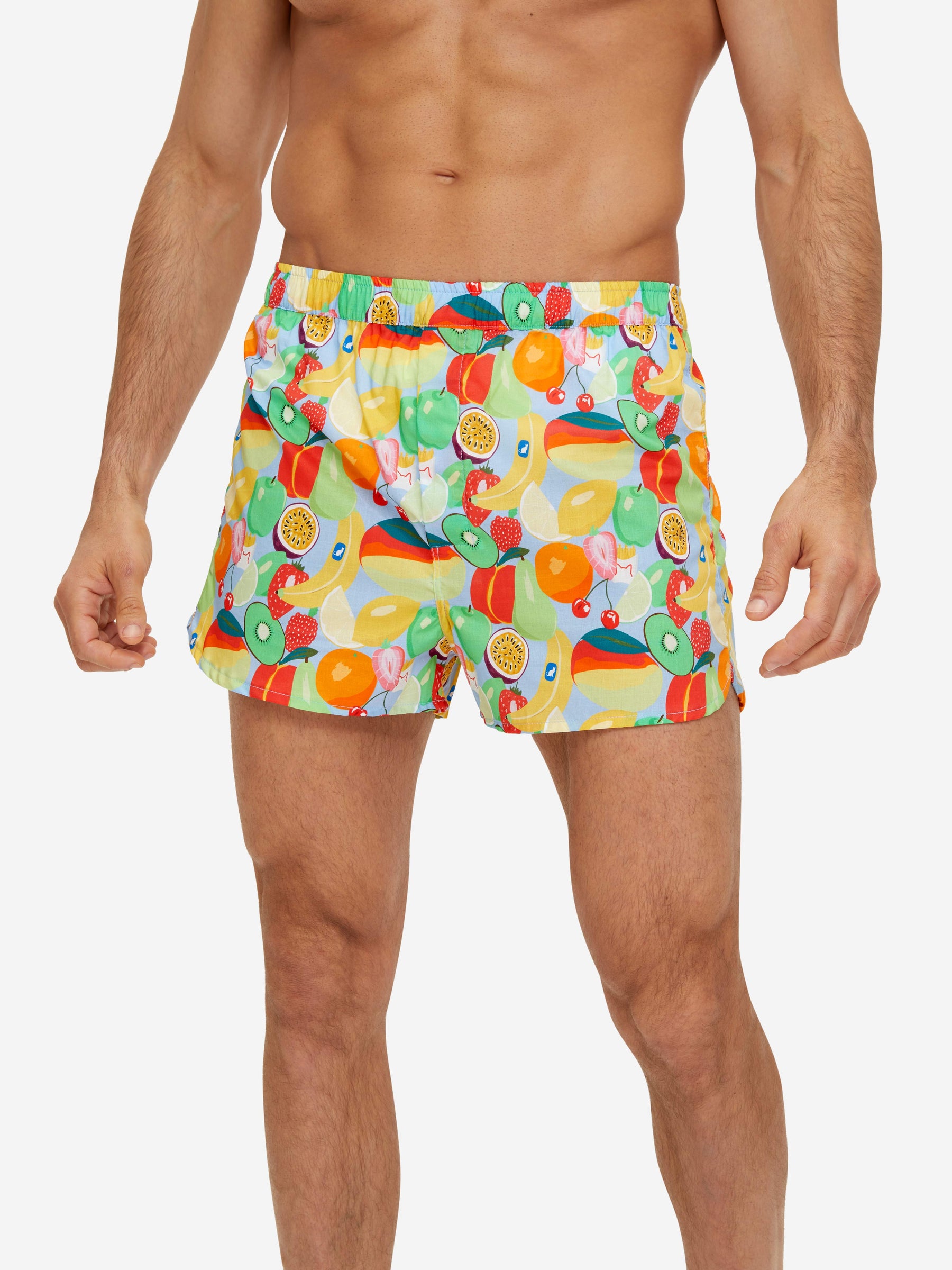 Men's Modern Fit Boxers Ledbury 49 Cotton Batiste Multi