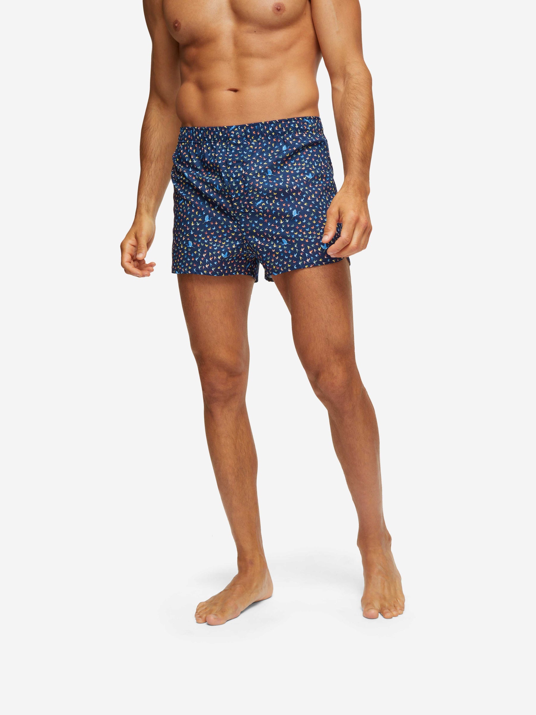 Men's Modern Fit Boxers Ledbury 58 Cotton Batiste Multi