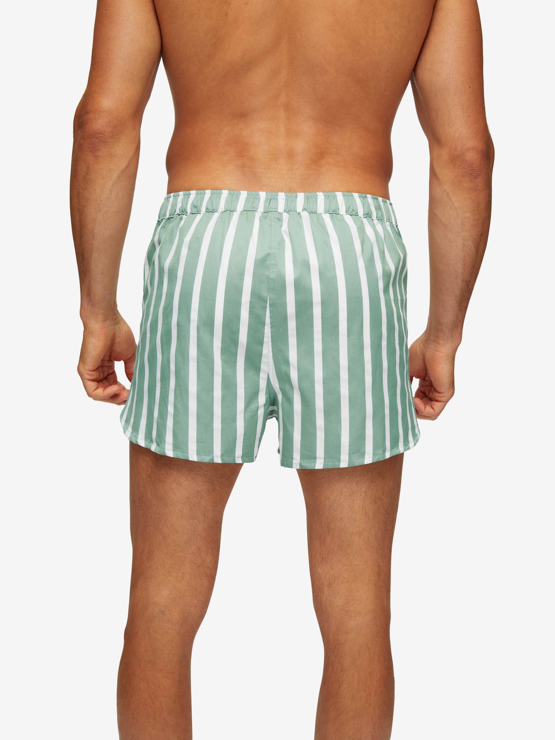 Men's Modern Fit Boxers Royal 219 Cotton Green