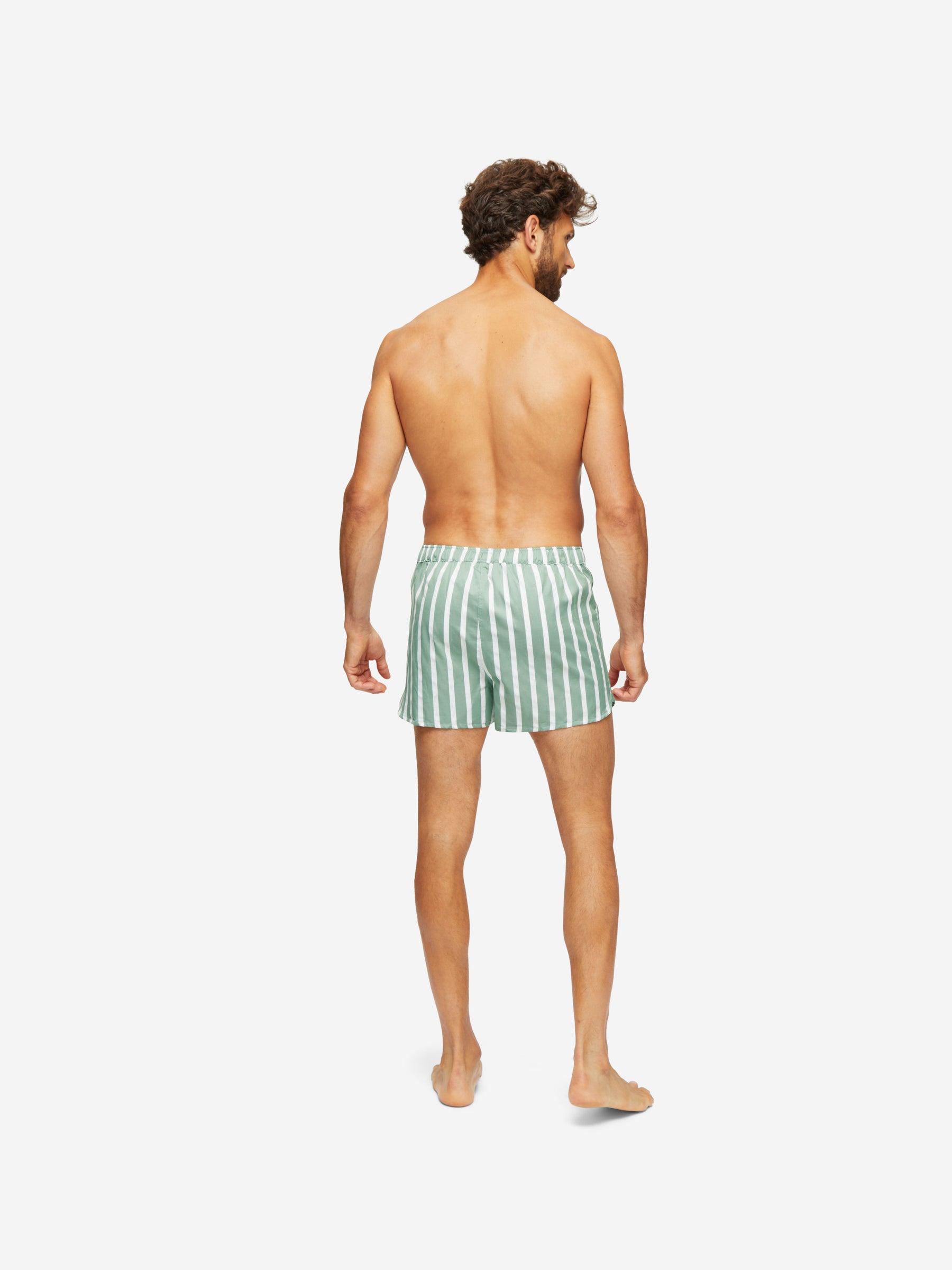 Men's Modern Fit Boxers Royal 219 Cotton Green