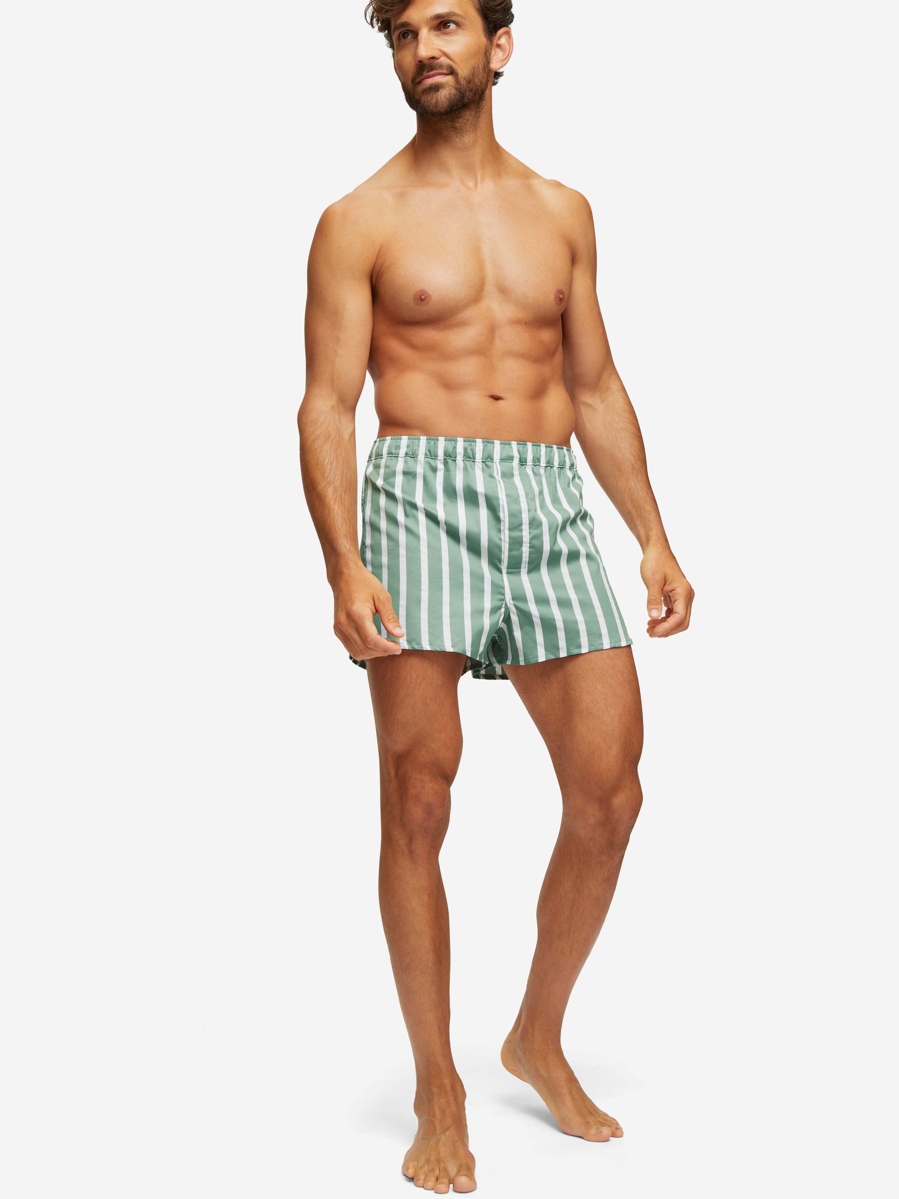 Men's Modern Fit Boxers Royal 219 Cotton Green