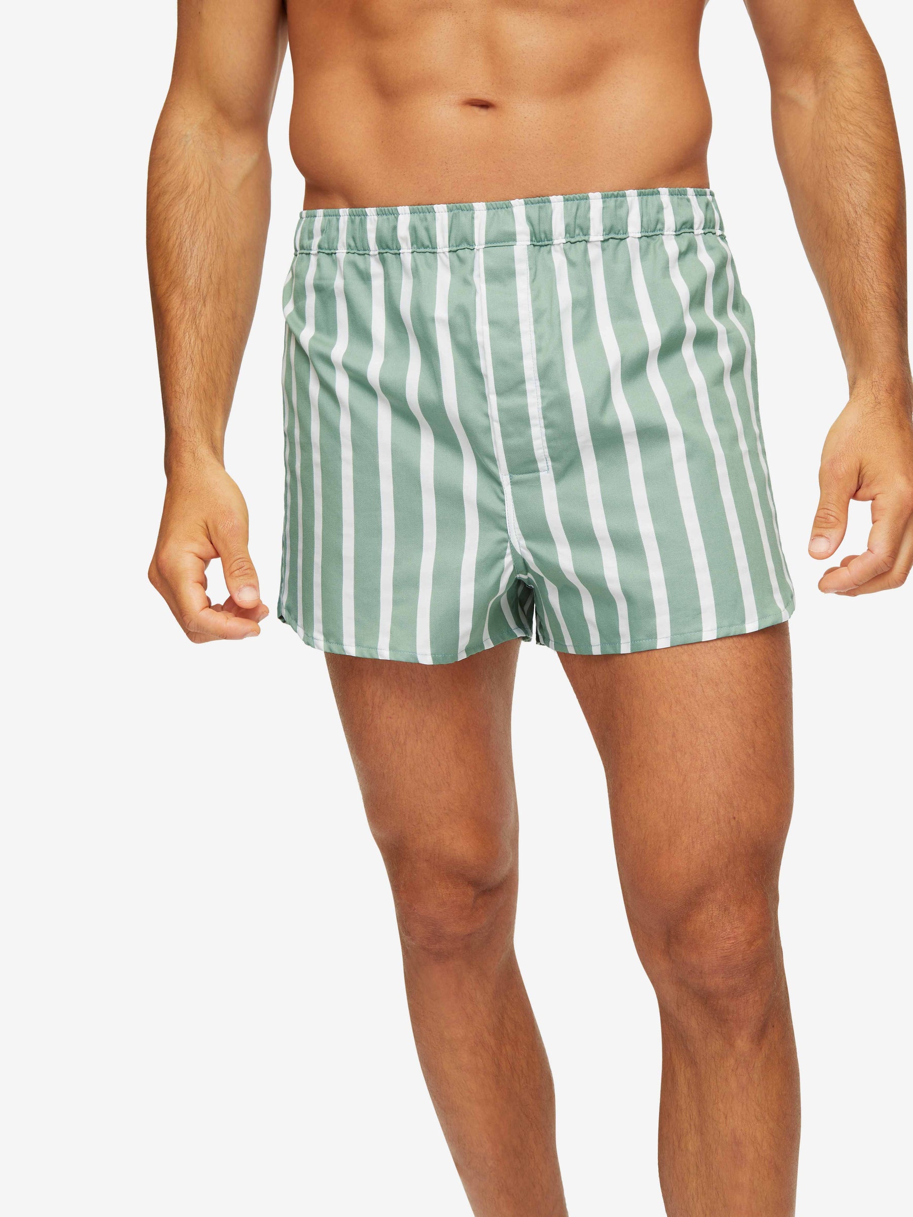 Men's Modern Fit Boxers Royal 219 Cotton Green