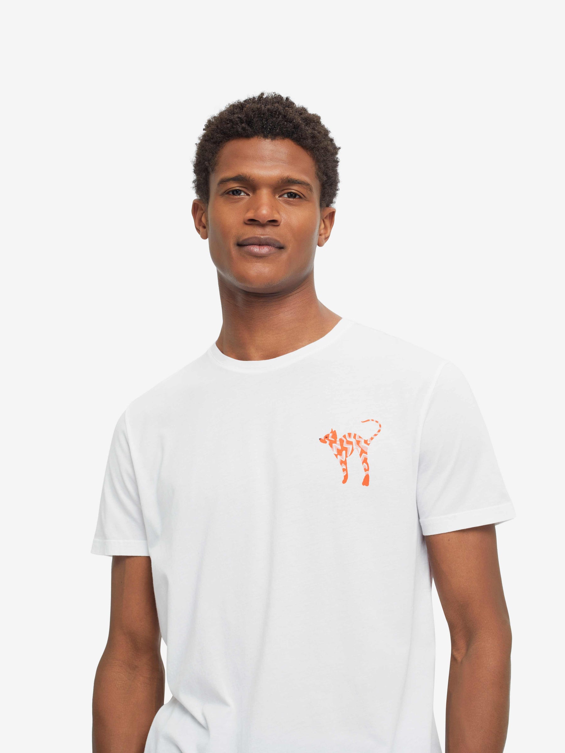 Men's T-Shirt Ripley 10 Pima Cotton Multi