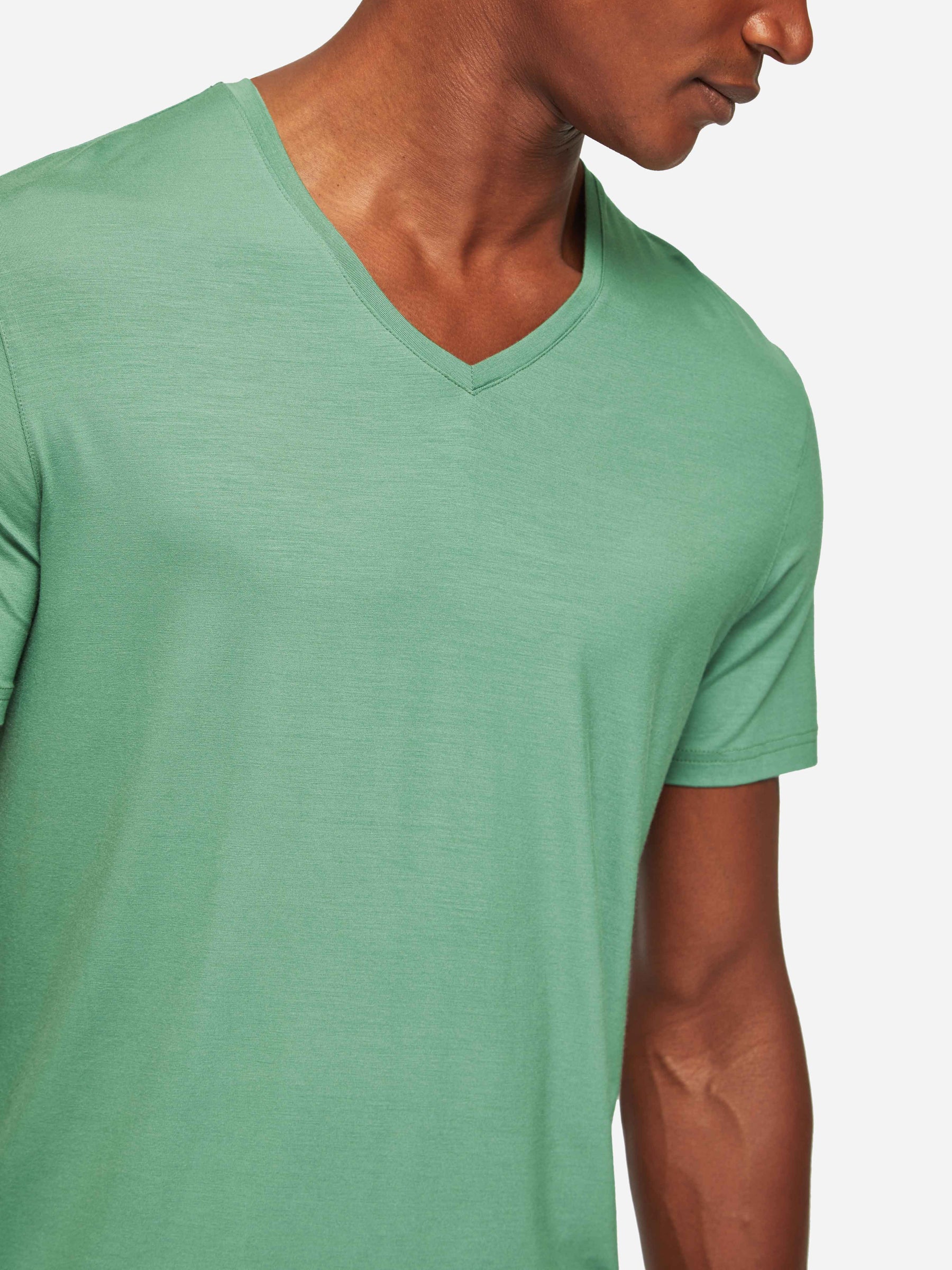Men's V-Neck T-Shirt Basel Micro Modal Stretch Sage Green