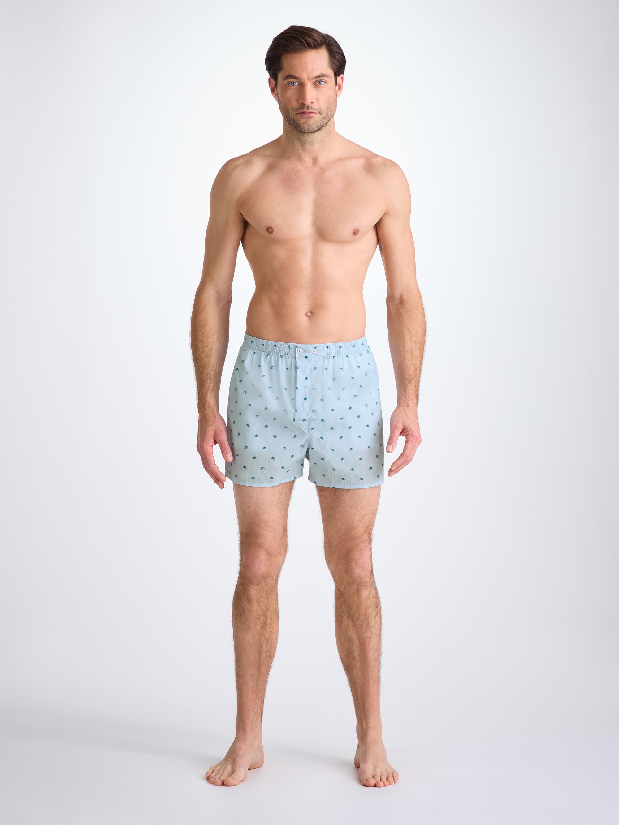 Men's Classic Fit Boxers Cotton Batiste Blue Elephant Print