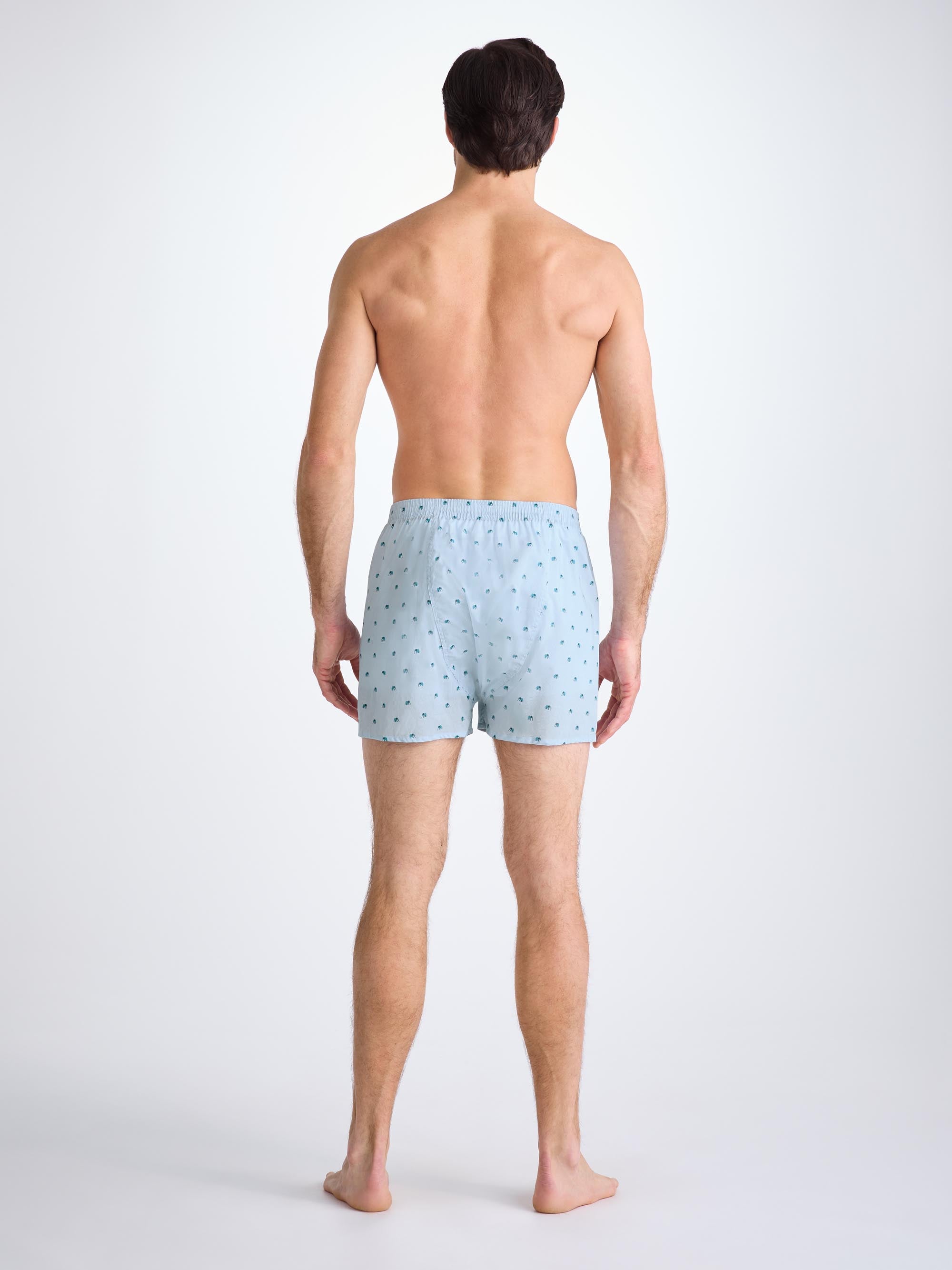Men's Classic Fit Boxers Cotton Batiste Blue Elephant Print