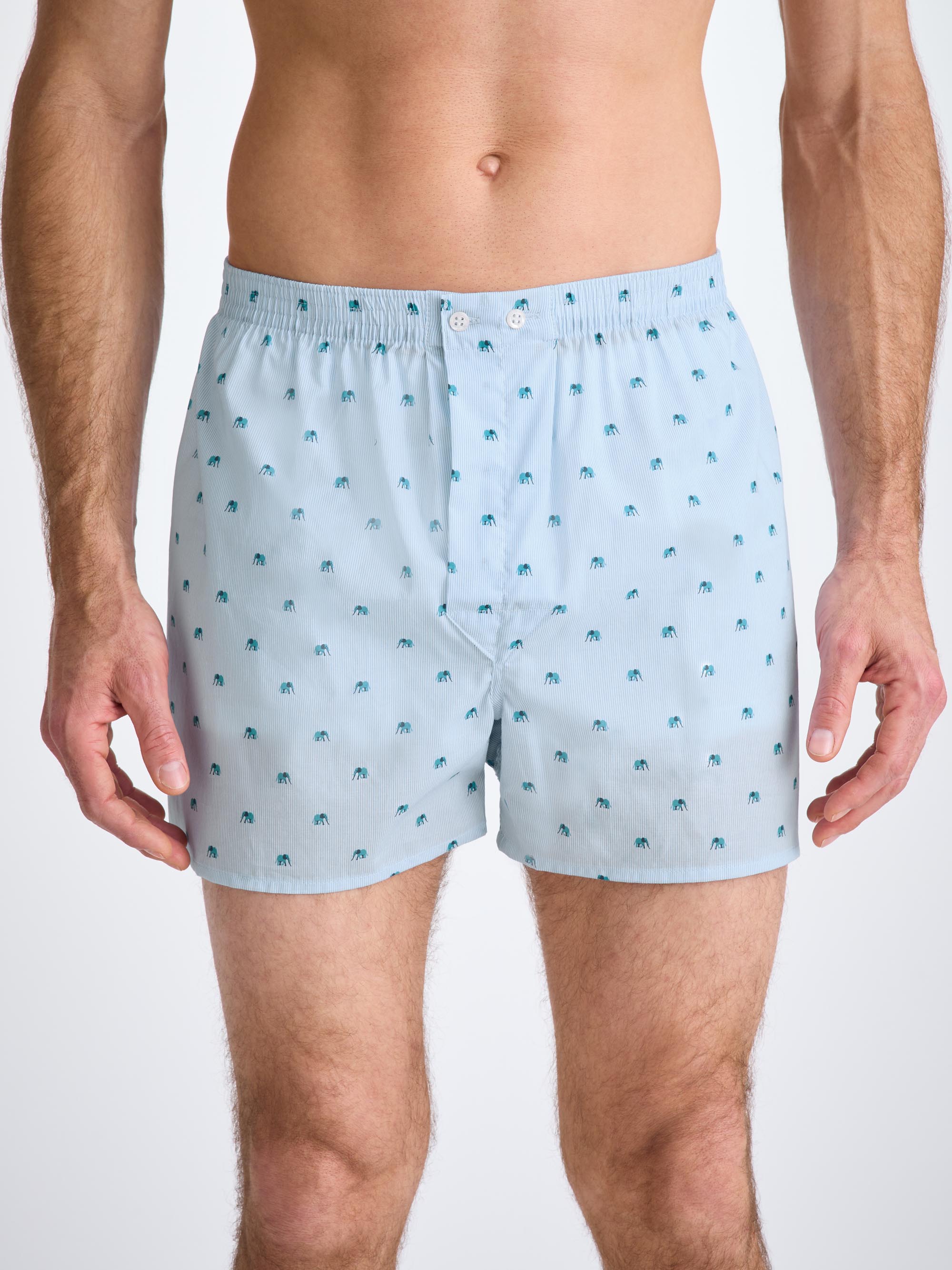 Men's Classic Fit Boxers Cotton Batiste Blue Elephant Print