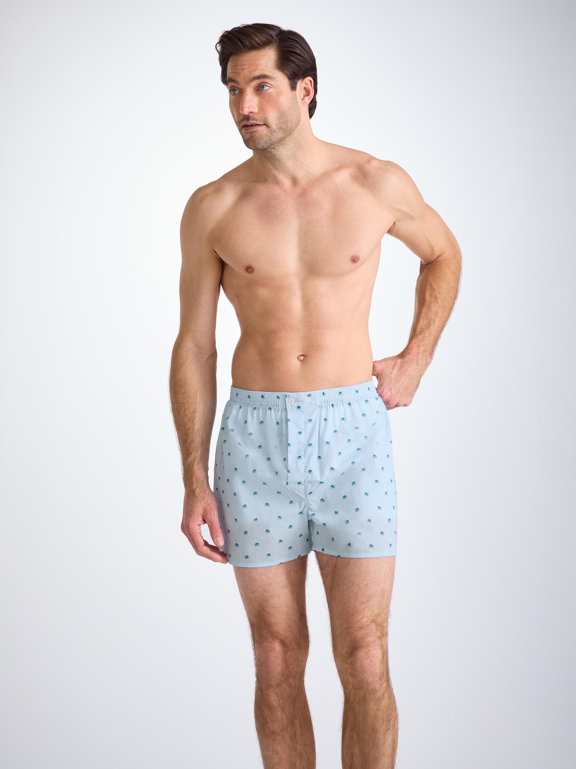 Men's Classic Fit Boxers Cotton Batiste Blue Elephant Print