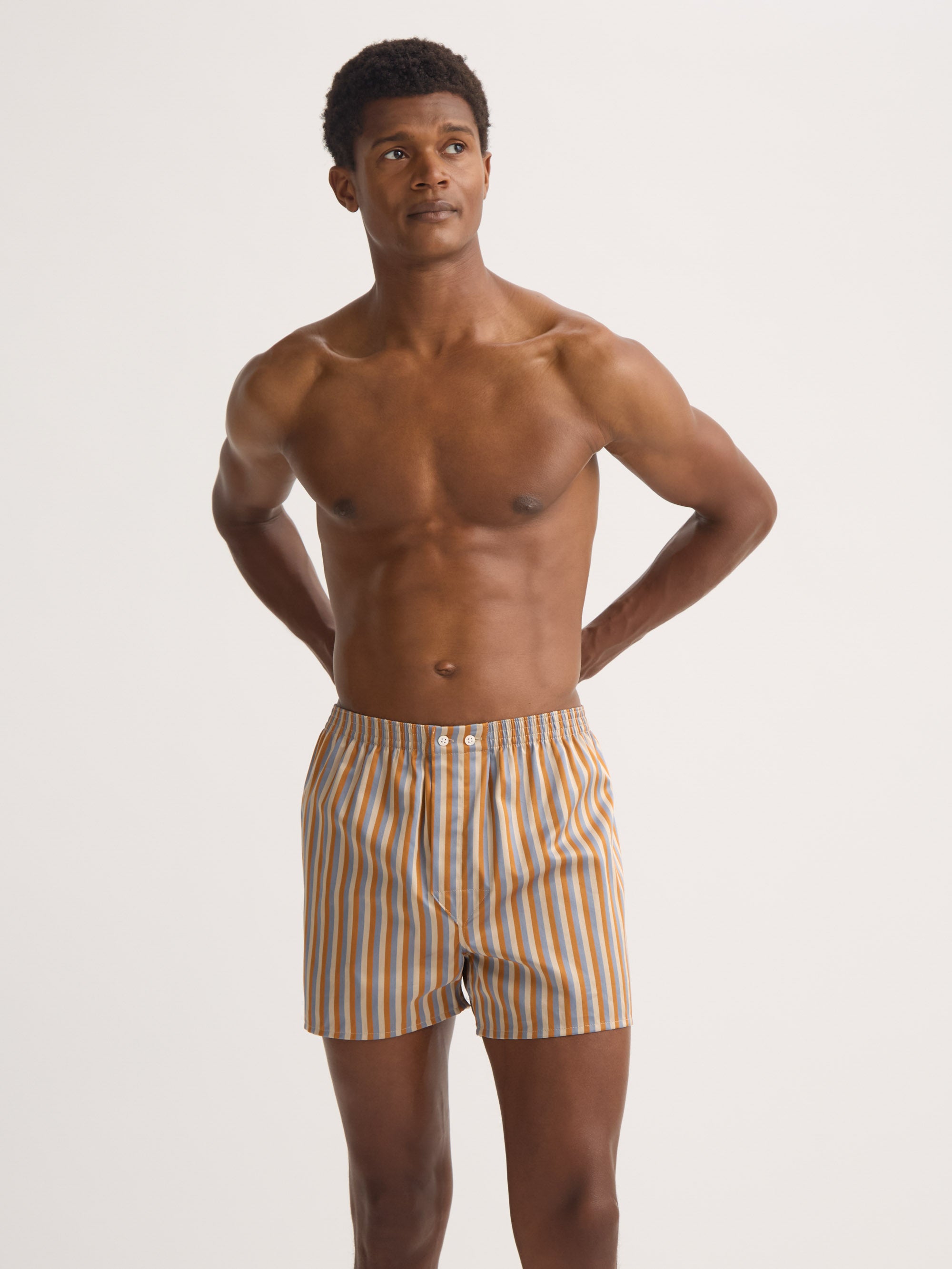 Men's Classic Fit Boxers Wellington Cotton Brown and Blue Multicolour Stripe
