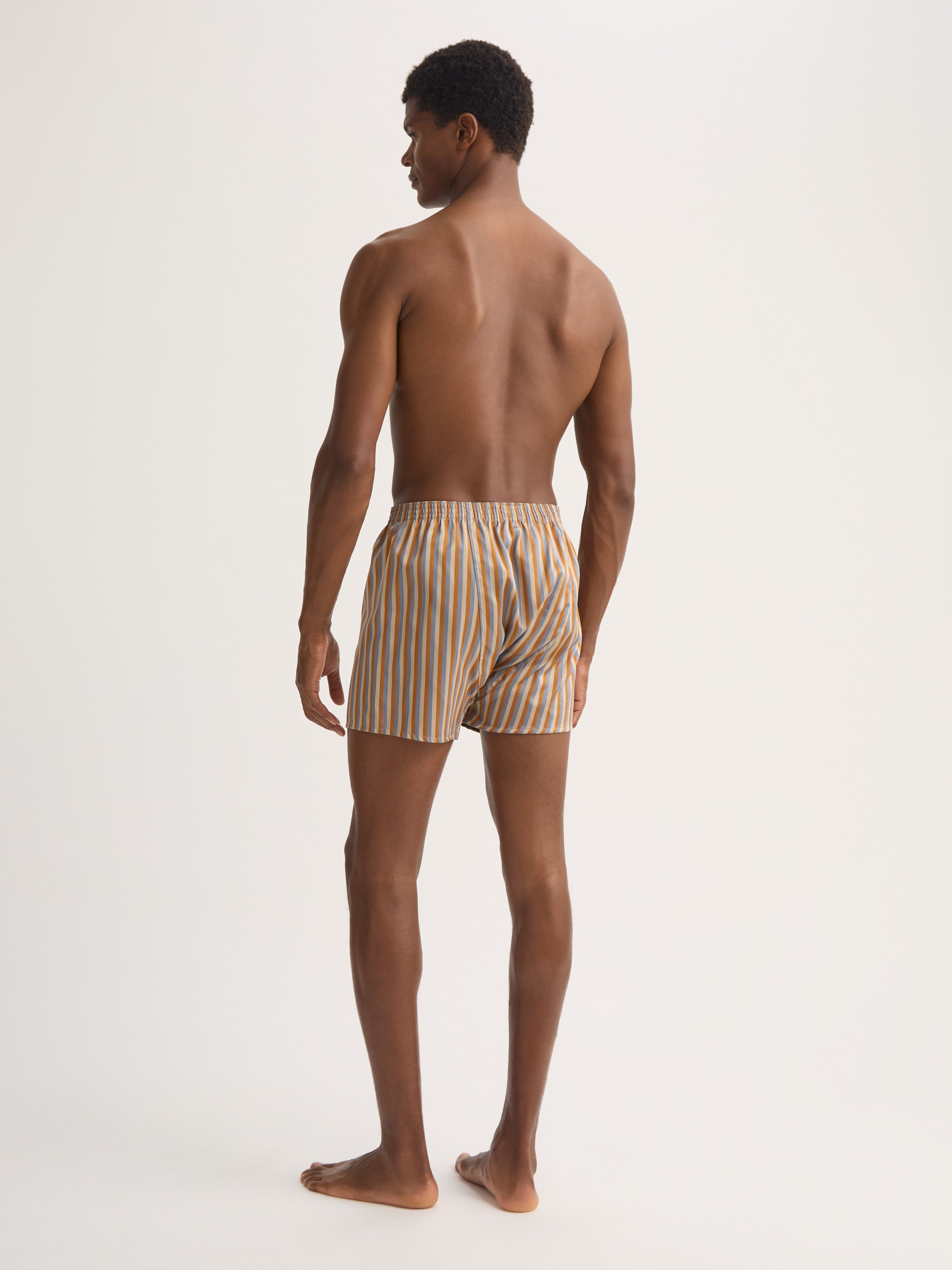 Men's Classic Fit Boxers Wellington Cotton Brown and Blue Multicolour Stripe