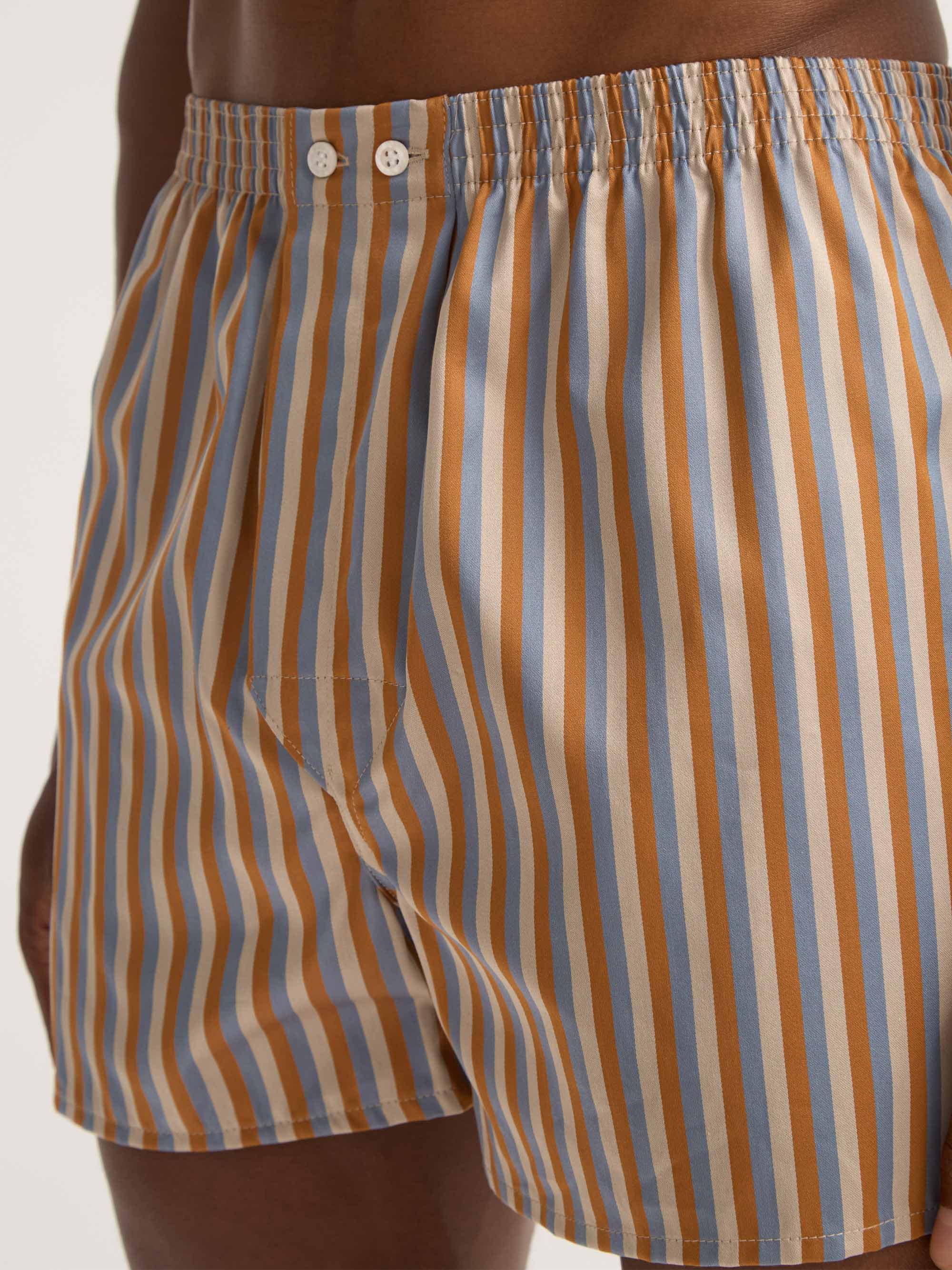 Men's Classic Fit Boxers Wellington Cotton Brown and Blue Multicolour Stripe