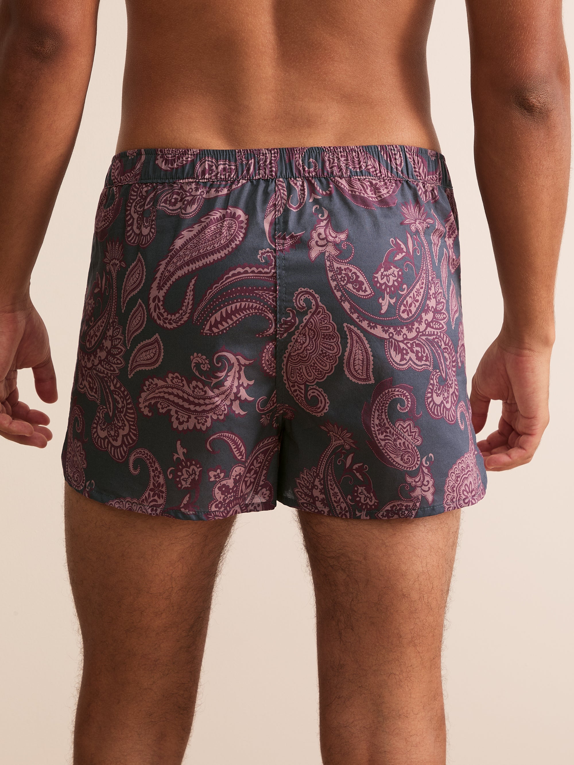 Ledbury Cotton Batiste Modern Fit Boxers Night Gray & Wine Paisley