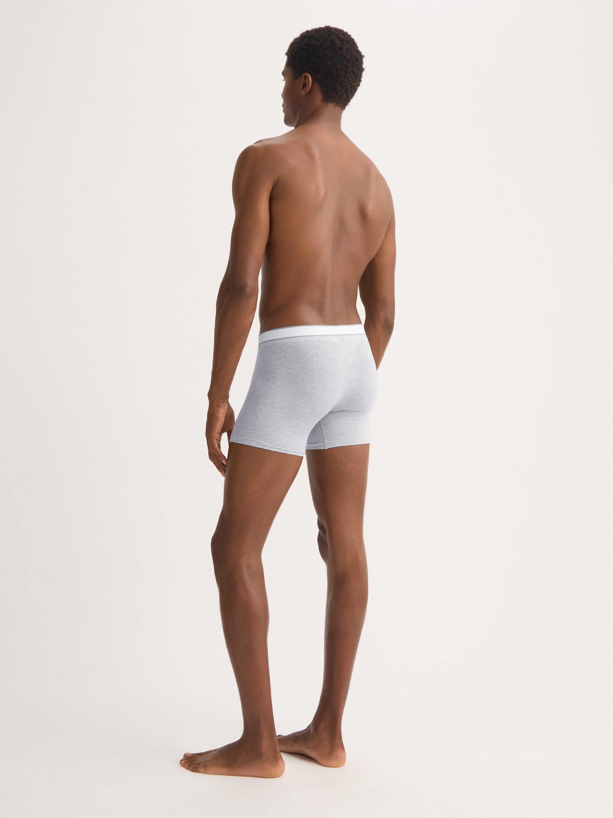 Men's Trunks Ethan Micro Modal Stretch Silver Marl