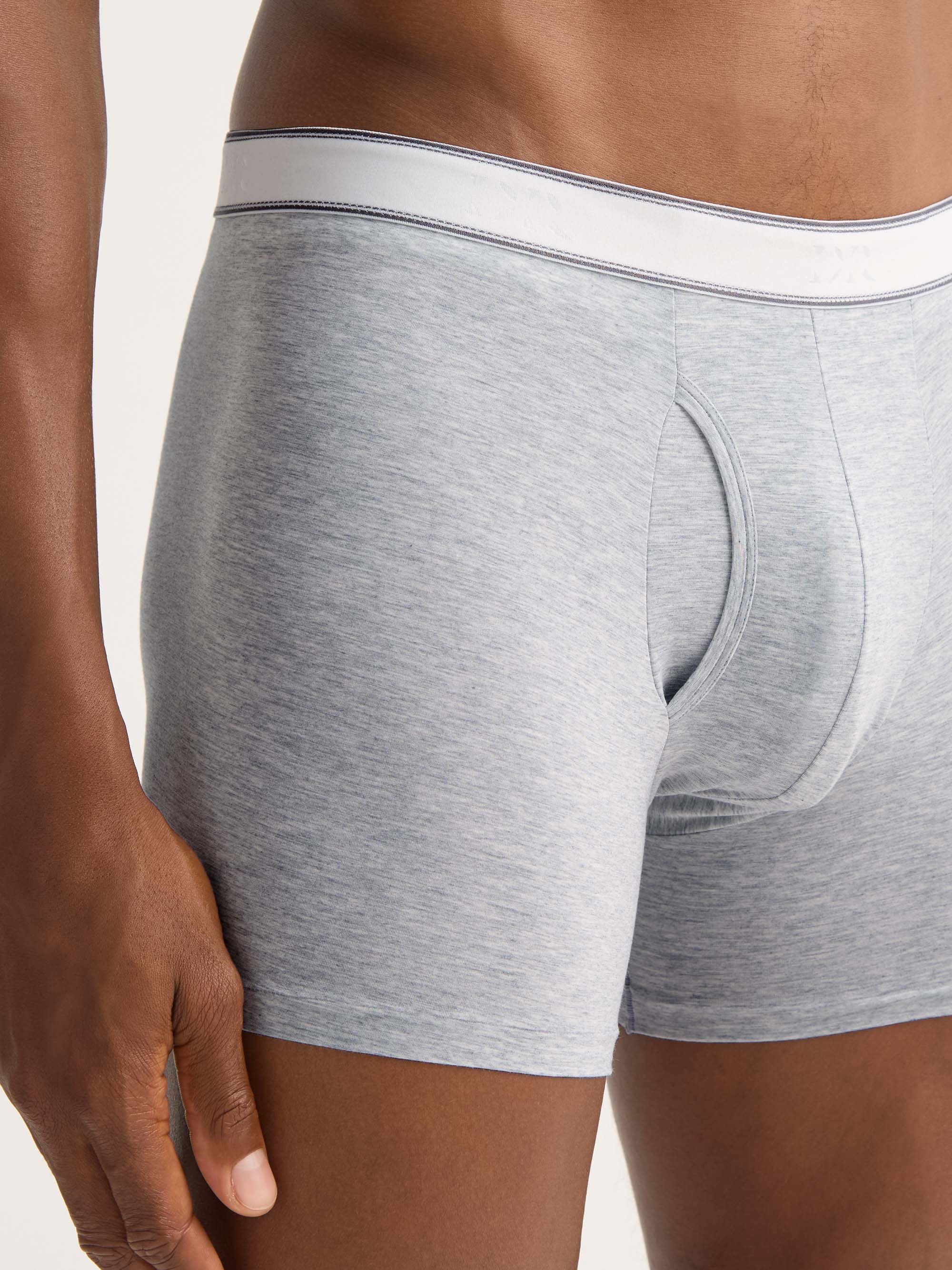 Men's Trunks Ethan Micro Modal Stretch Silver Marl