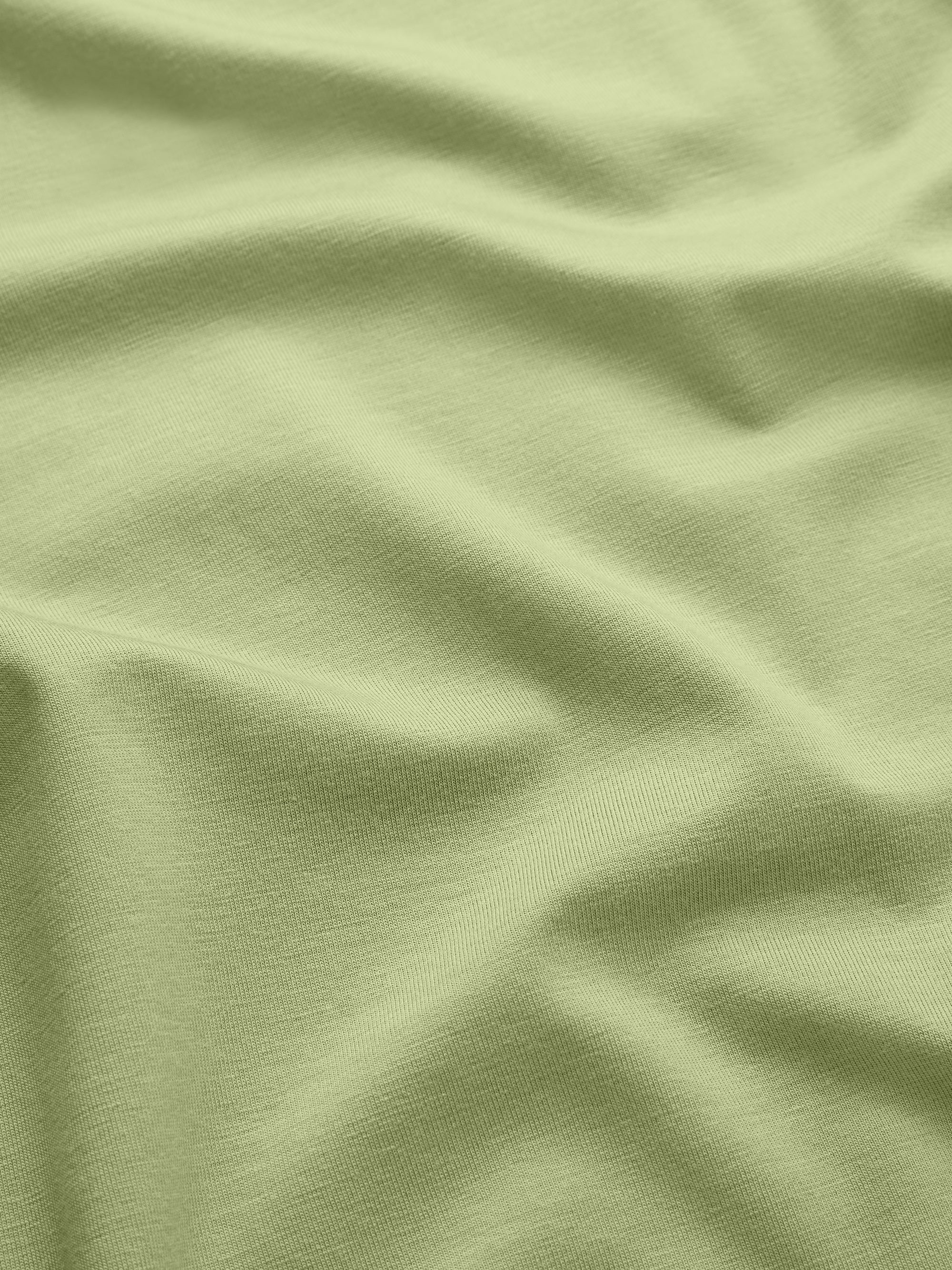 Men's T-Shirt Basel Micro Modal Stretch Pear Green