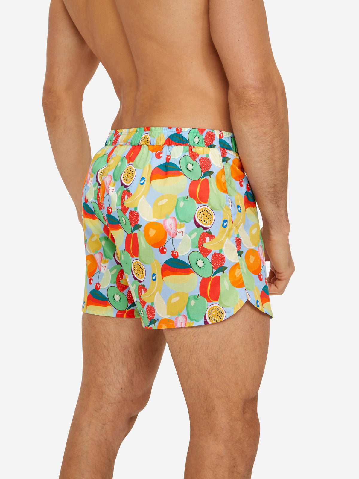 Men's Modern Fit Boxers Ledbury 49 Cotton Batiste Multi
