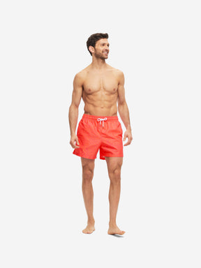 Men's Short Swim Shorts Maui 44 Multi